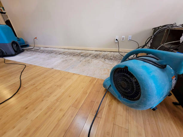 Reliable Basement Flood Cleanup contractor in Jones, OK by Hirex Water Damage