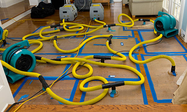 Professional Basement Flood Cleanup technician working in Jones, OK
